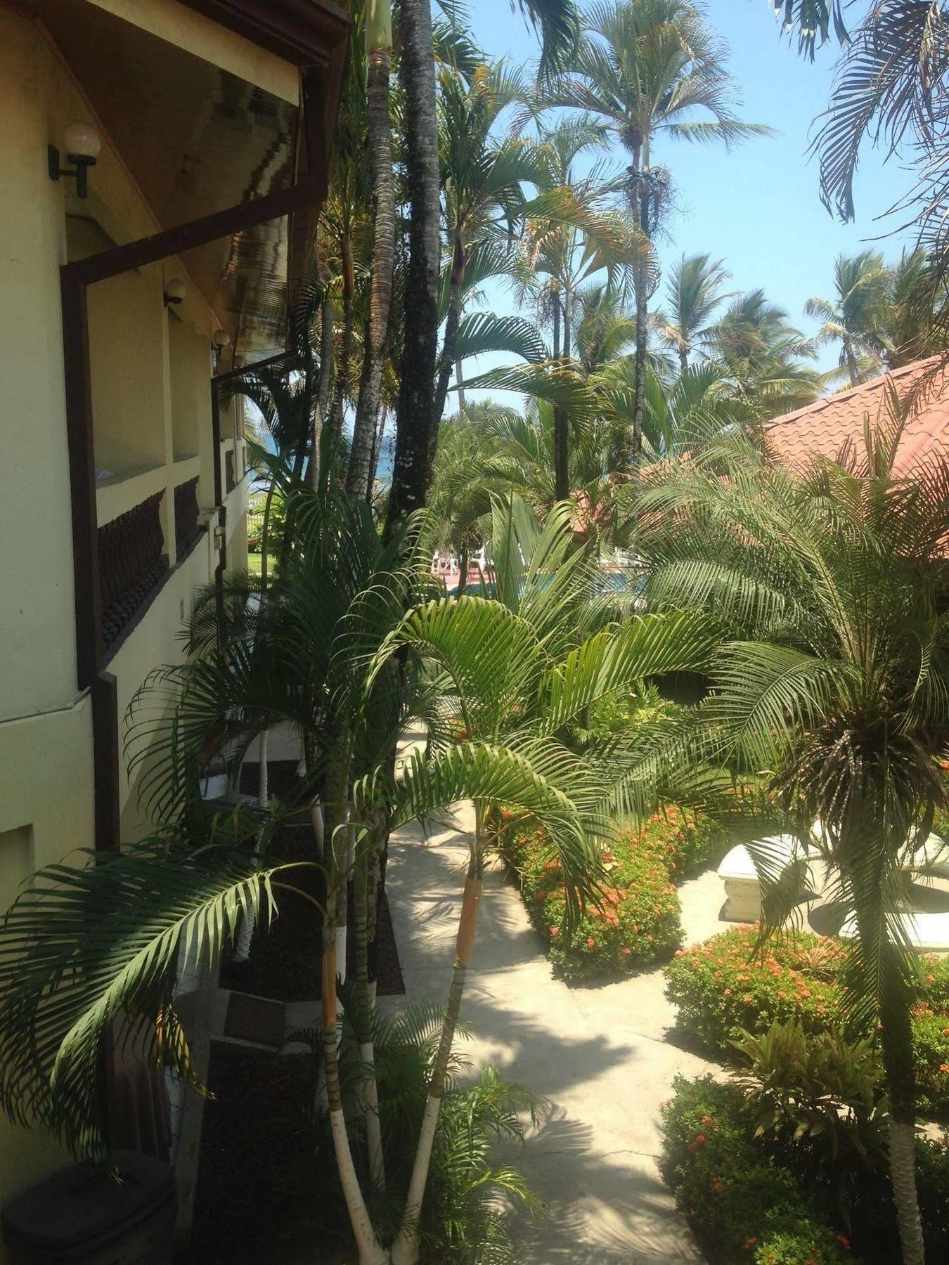Hotel Mango Mar Jacó Buitenkant foto